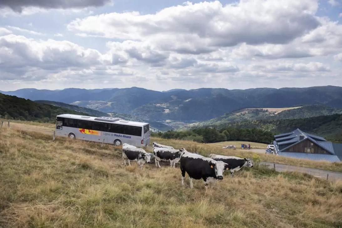 Massif des Vosges : la Navette des Crêtes reprend la route des sommets