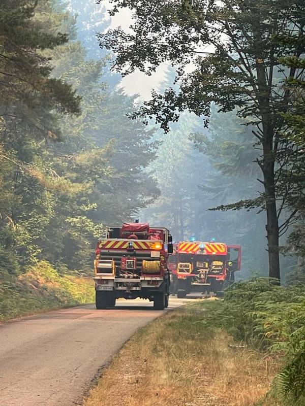 Deux feux de forêt déclarés dans les Hautes-Vosges