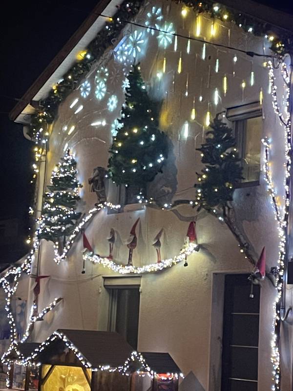 Maison décorée pour Noël (6)