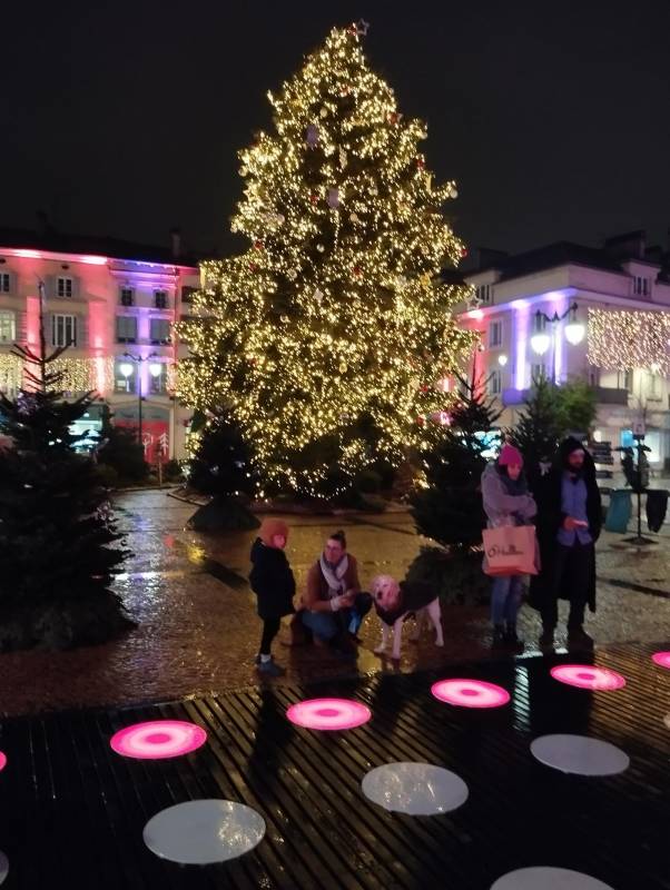 marche-de-noel-epinal.15jpg