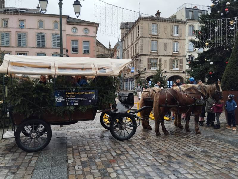 promenade-caleche-epinal9