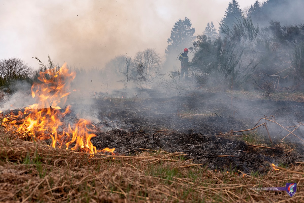 Prévention_Feux_Forêts_SDIS88 (4)