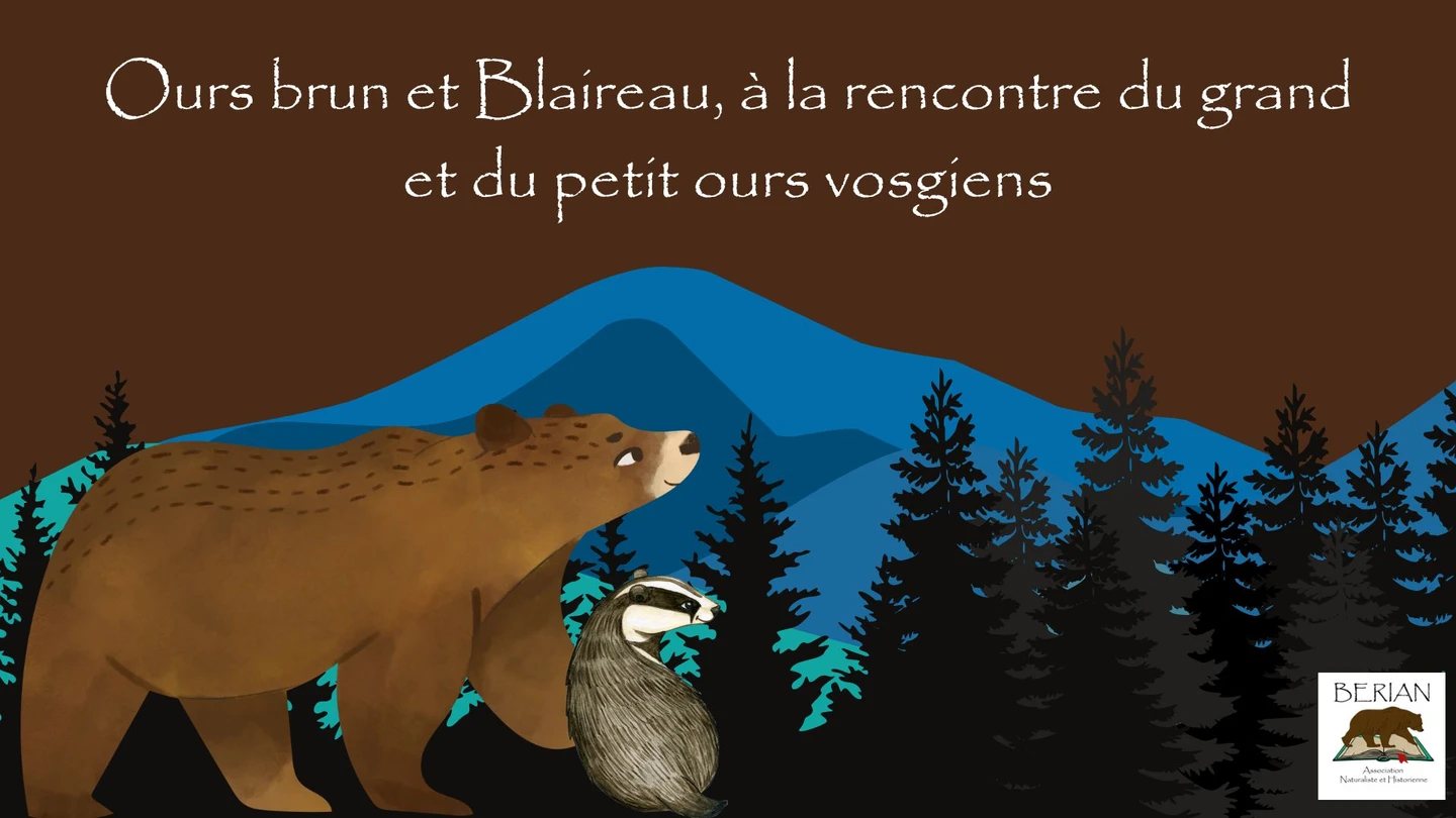 BERIAN-Soirée_Ours_Blaireau