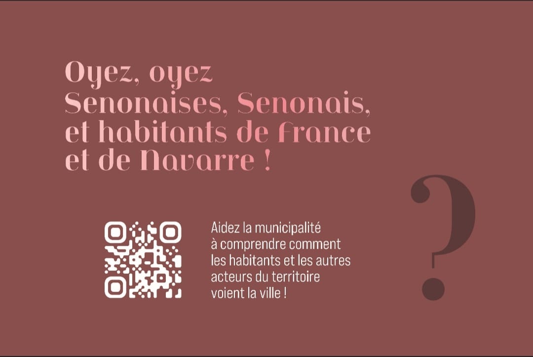 Senones-Questionnaire_Avis_Commune (2)