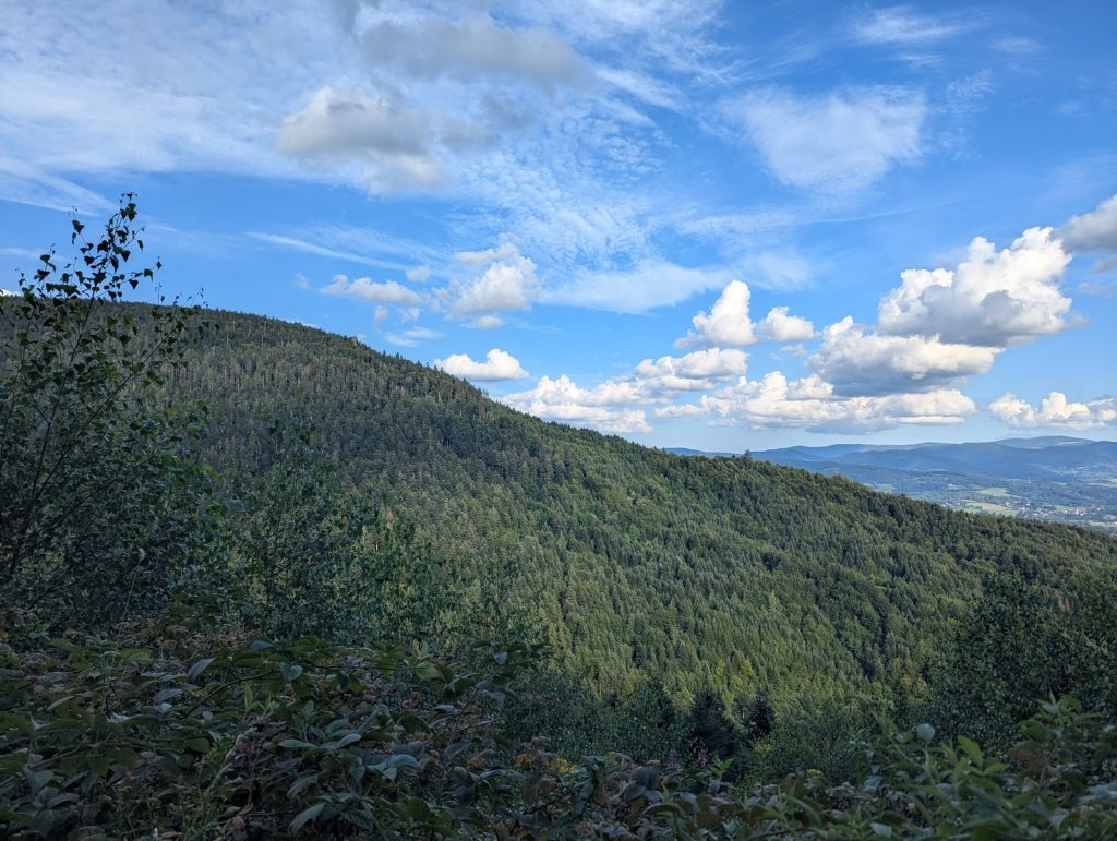 Le massif de l'Ormont fin juillet.