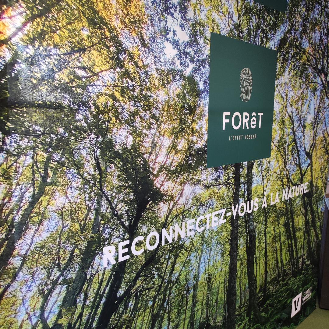 FORET 2