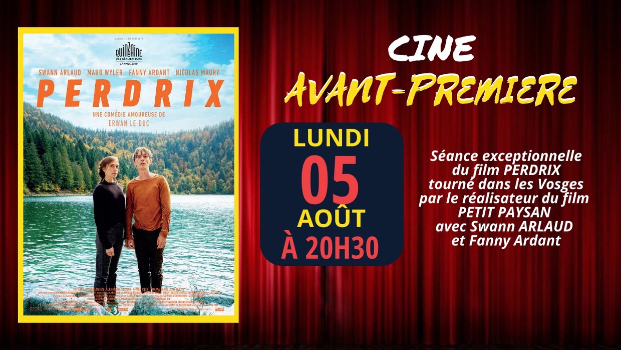 Photo du film Perdrix