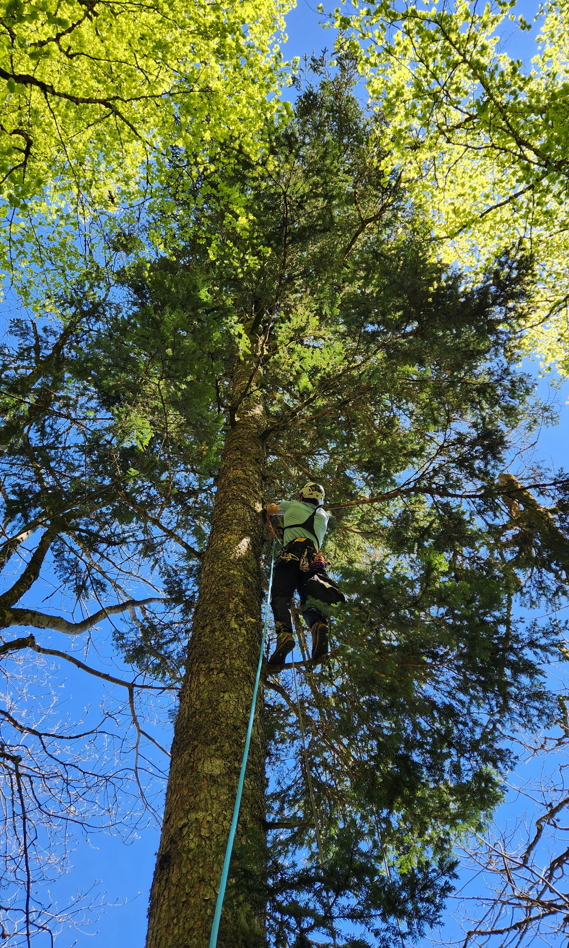 Un parapentiste secouru par le PGHM aux Champis