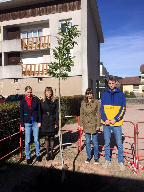 Un arbre en souvenir de Ghislain Rivot - Gerardmer Info